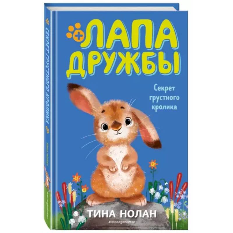 Секрет грустного кролика Секрет грустного кролика