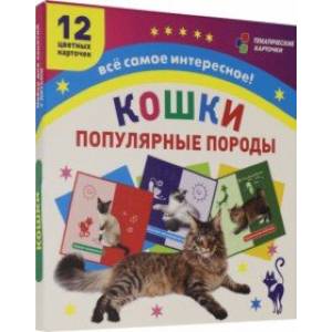 Самые популярные породы кошек: 12 карточек с изображением. ФГОС. ФГОС ДО Самые популярные породы кошек: 12 карточек с изображением. ФГОС. ФГОС ДО
