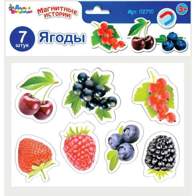 Магниты «Ягоды» Магниты «Ягоды»