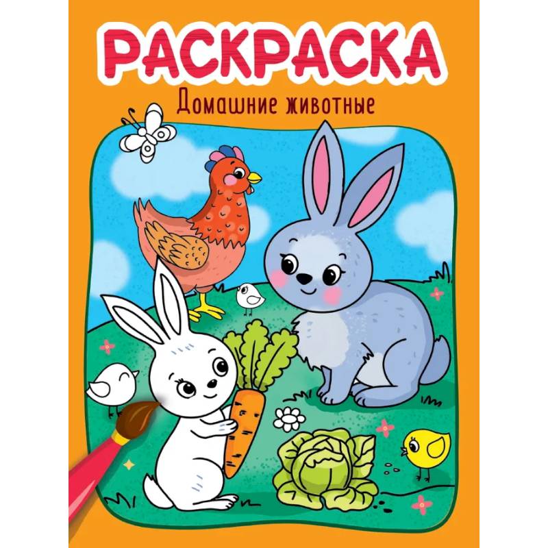 Раскраска. Домашние животные Раскраска. Домашние животные