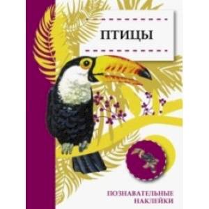 Птицы Птицы