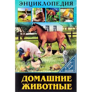 Домашние животные Домашние животные