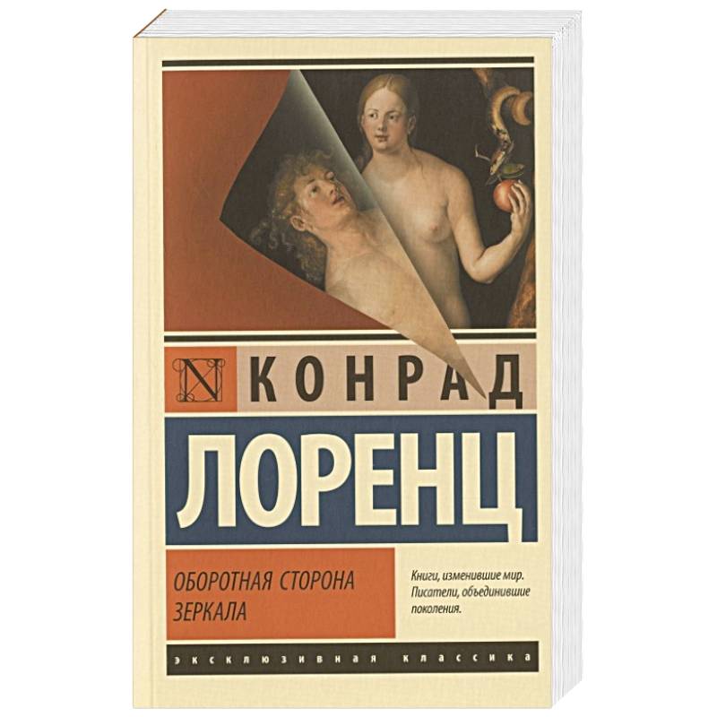 Оборотная сторона зеркала Оборотная сторона зеркала