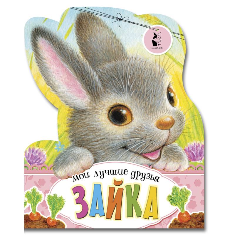 Зайка Зайка