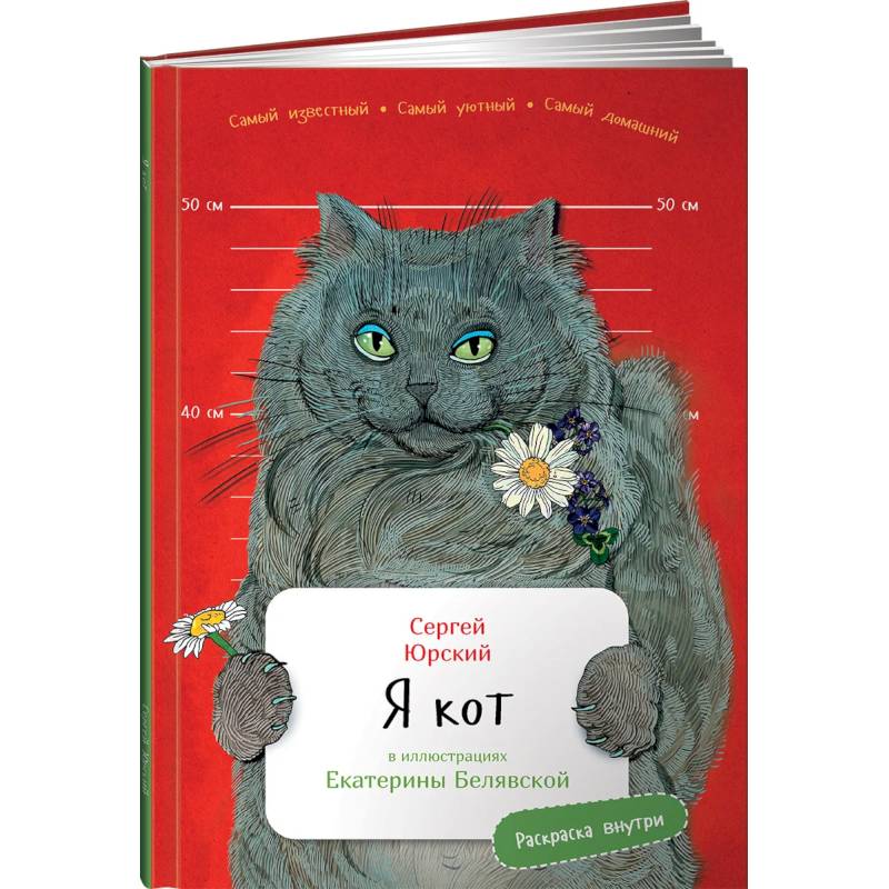 Я кот (раскраска внутри) Я кот (раскраска внутри)