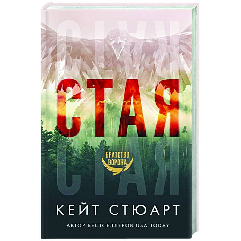Стая Стая