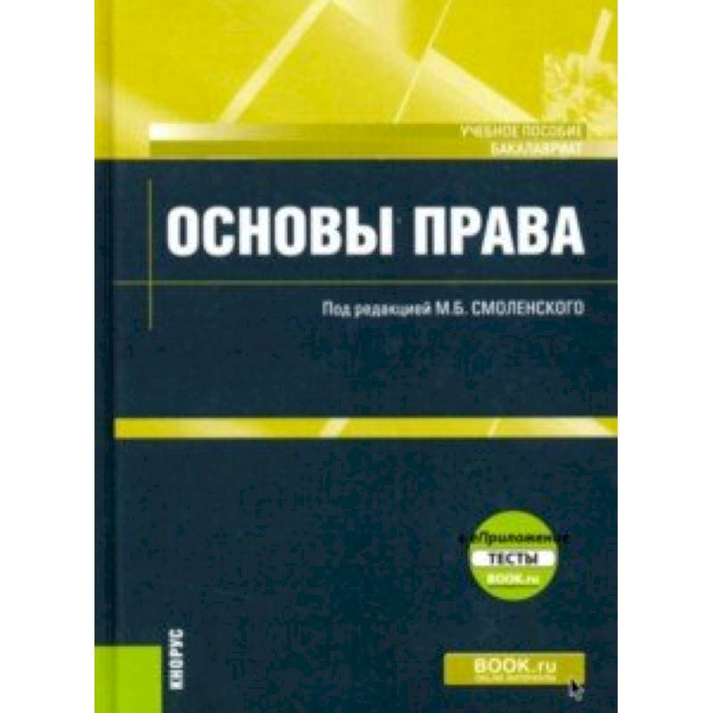 Основы права (для бакалавров).+ еПриложение: Тесты. Учебное пособие