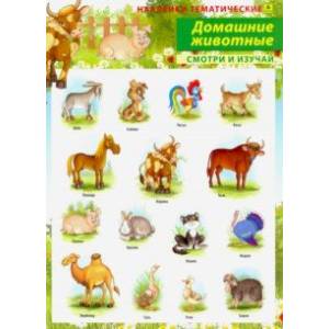 Домашние животные. Наклейки тематические Домашние животные. Наклейки тематические