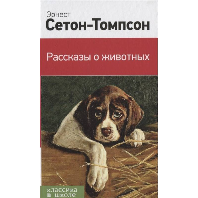Рассказы о животных Рассказы о животных