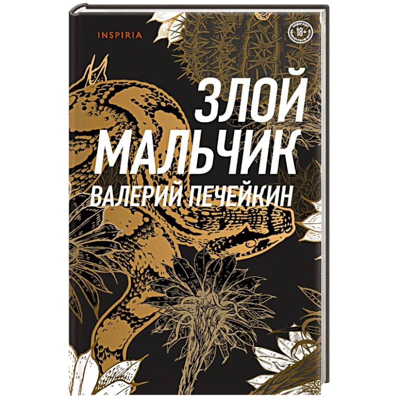 Злой мальчик Злой мальчик