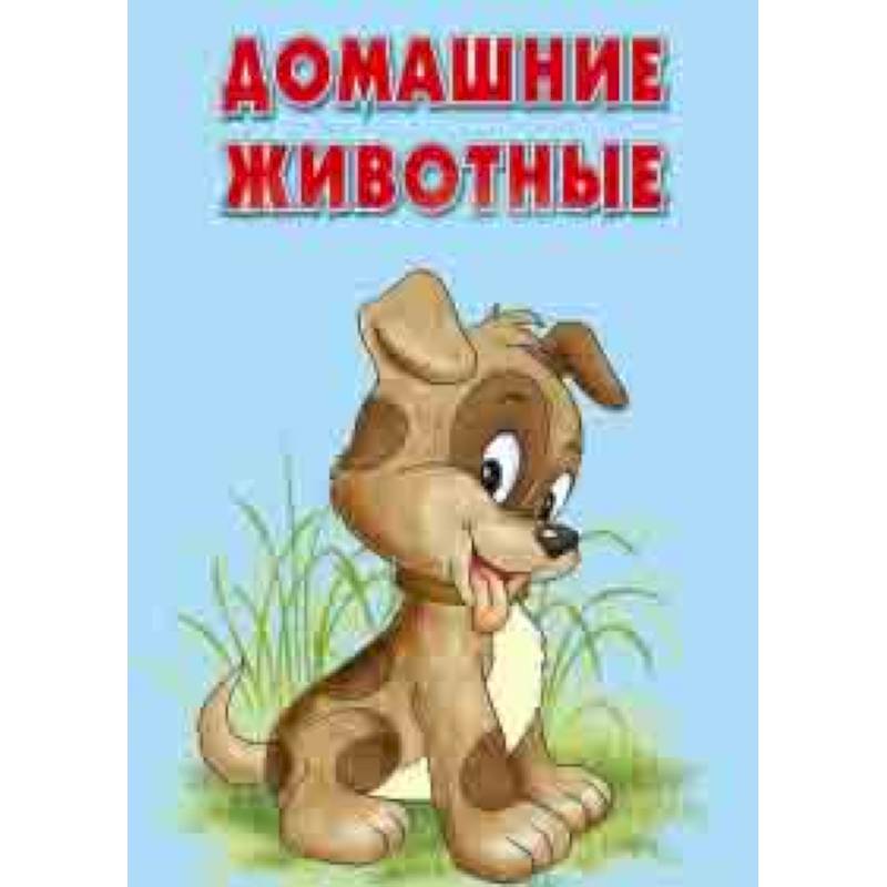 Карточки. Домашние животные. Интересные факты Карточки. Домашние животные. Интересные факты