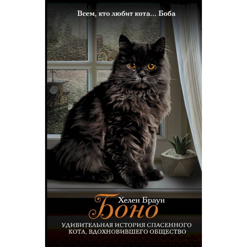 Боно. Удивительная история спасенного кота, вдохновившего общество Боно. Удивительная история спасенного кота, вдохновившего общество