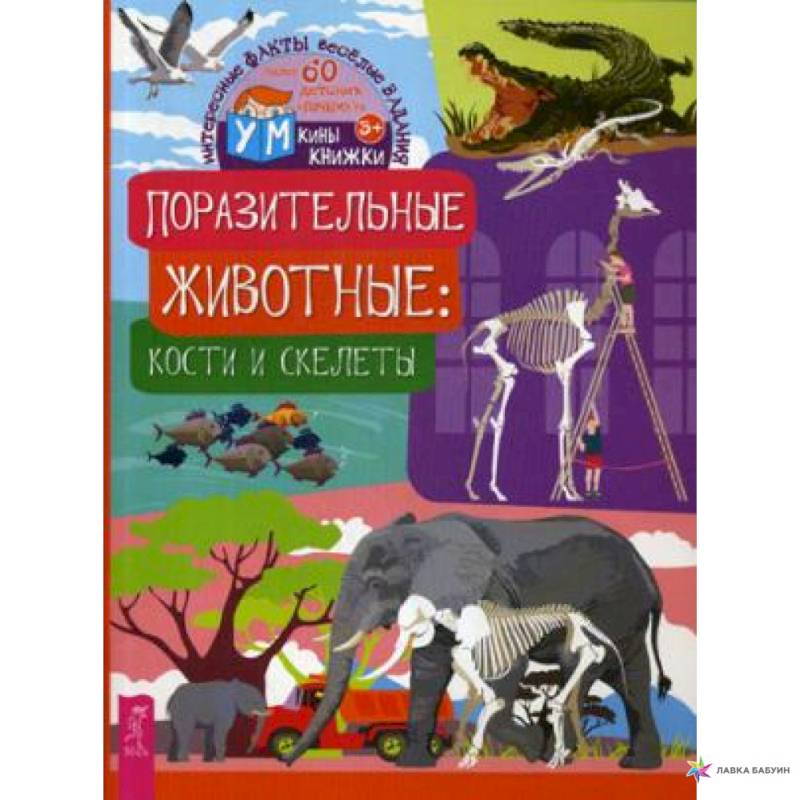 Поразительные животные. Кости и скелеты Поразительные животные. Кости и скелеты
