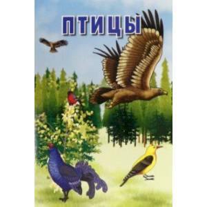 Карточки. Птицы. Интересные факты о каждой птице. 15 карточек Карточки. Птицы. Интересные факты о каждой птице. 15 карточек