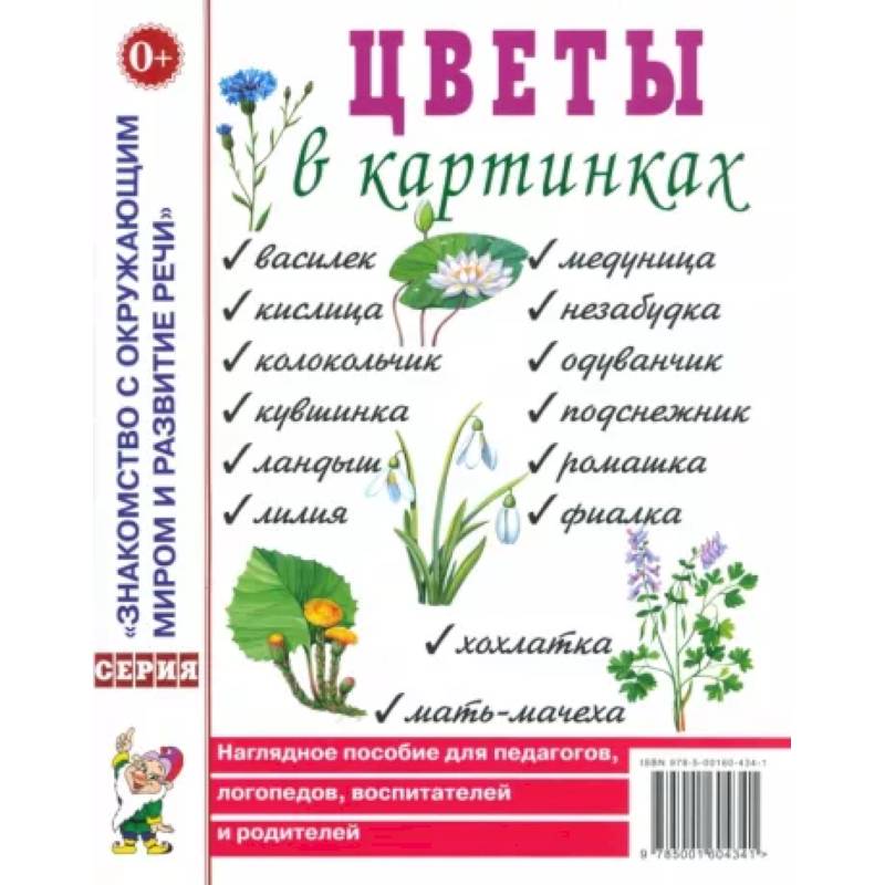 Цветы в картинках. Наглядное пособие для педагогов, воспитателей, логопедов, родителей. Цветы в картинках. Наглядное пособие для педагогов, воспитателей, логопедов, родителей.