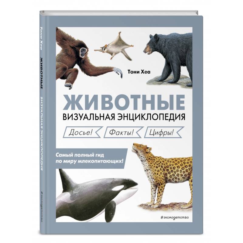 Животные. Визуальная энциклопедия Животные. Визуальная энциклопедия