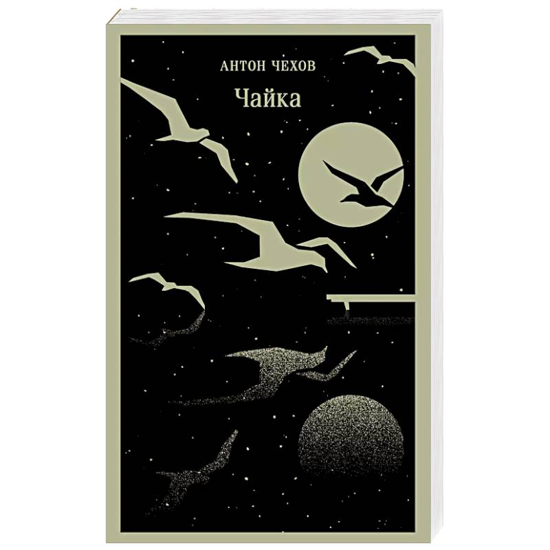 Чайка Чайка