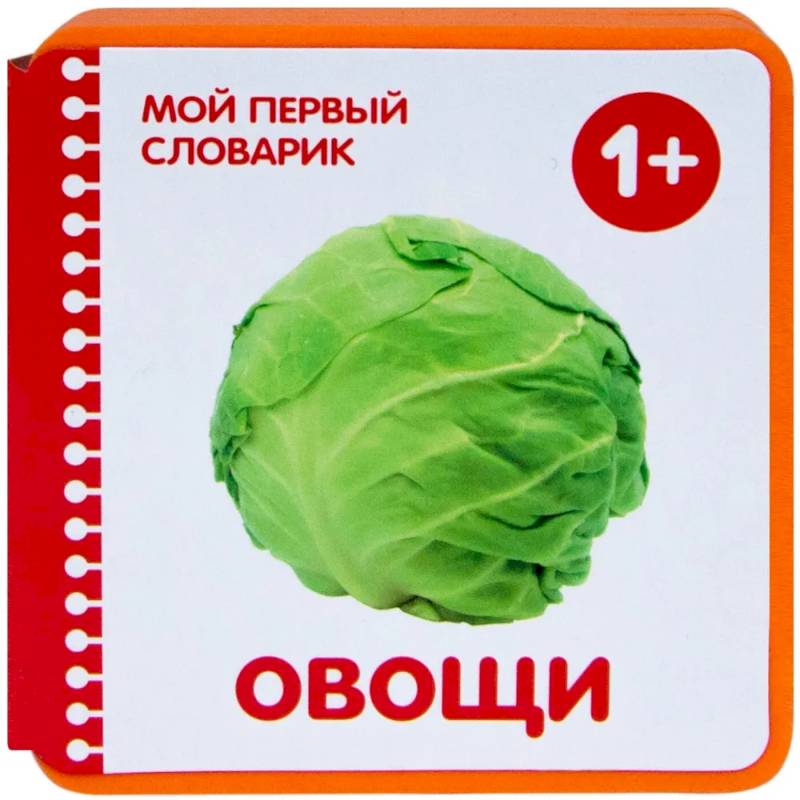 Овощи Овощи
