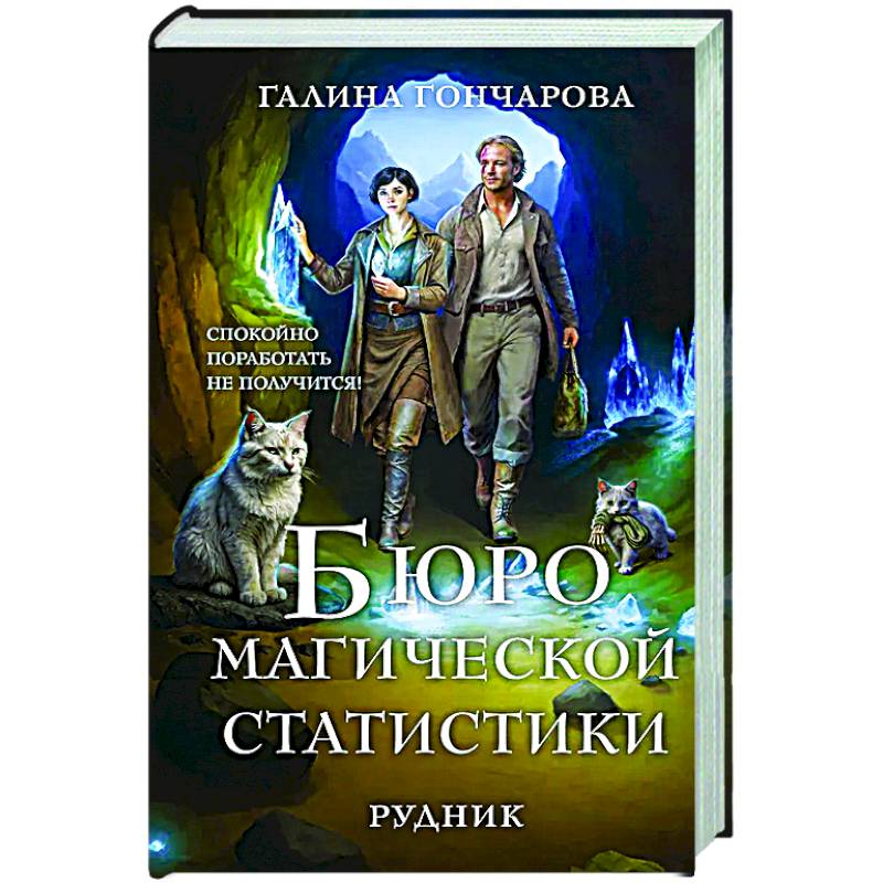 Бюро магической статистики. Рудник (Бюро магической статистики #1)