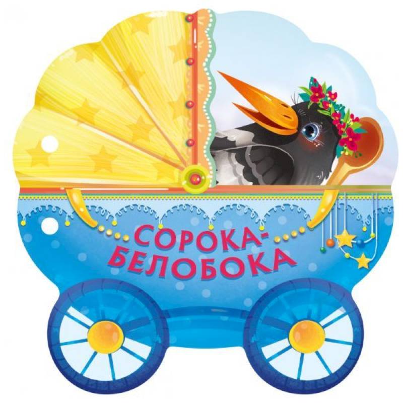 Сорока-белобока Сорока-белобока