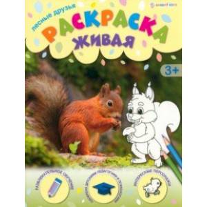 Раскраска живая Лесные друзья Раскраска живая Лесные друзья