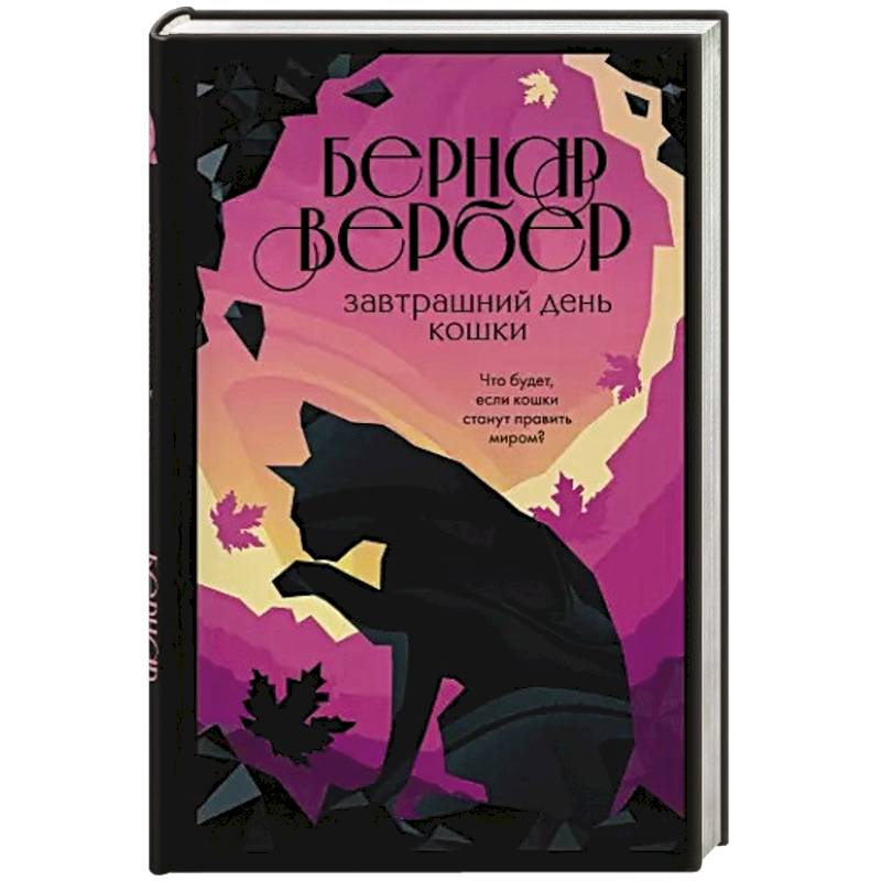 Завтрашний день кошки Завтрашний день кошки