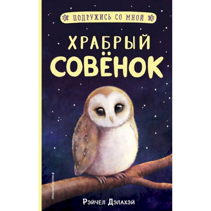 Храбрый совёнок Храбрый совёнок