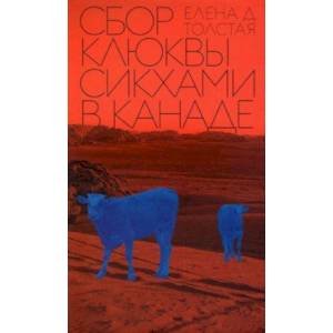 Сбор клюквы сикхами в Канаде Сбор клюквы сикхами в Канаде