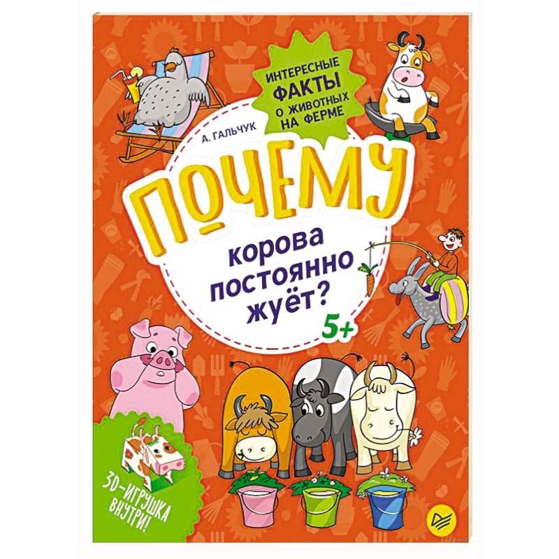 Почему корова постоянно жуёт? Интересные факты о животных на ферме