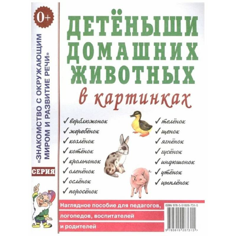 Детеныши домашних животных в картинках