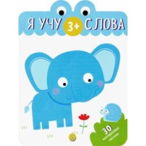 Я учу слова. 3+ Я учу слова. 3+