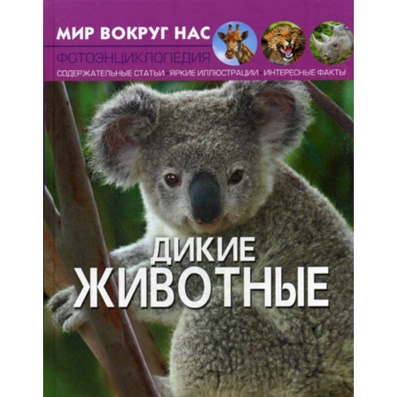 Мир вокруг нас. Дикие животные Мир вокруг нас. Дикие животные