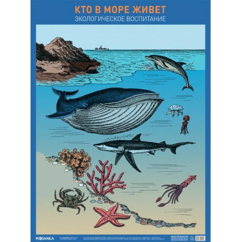 Кто в море живет Кто в море живет