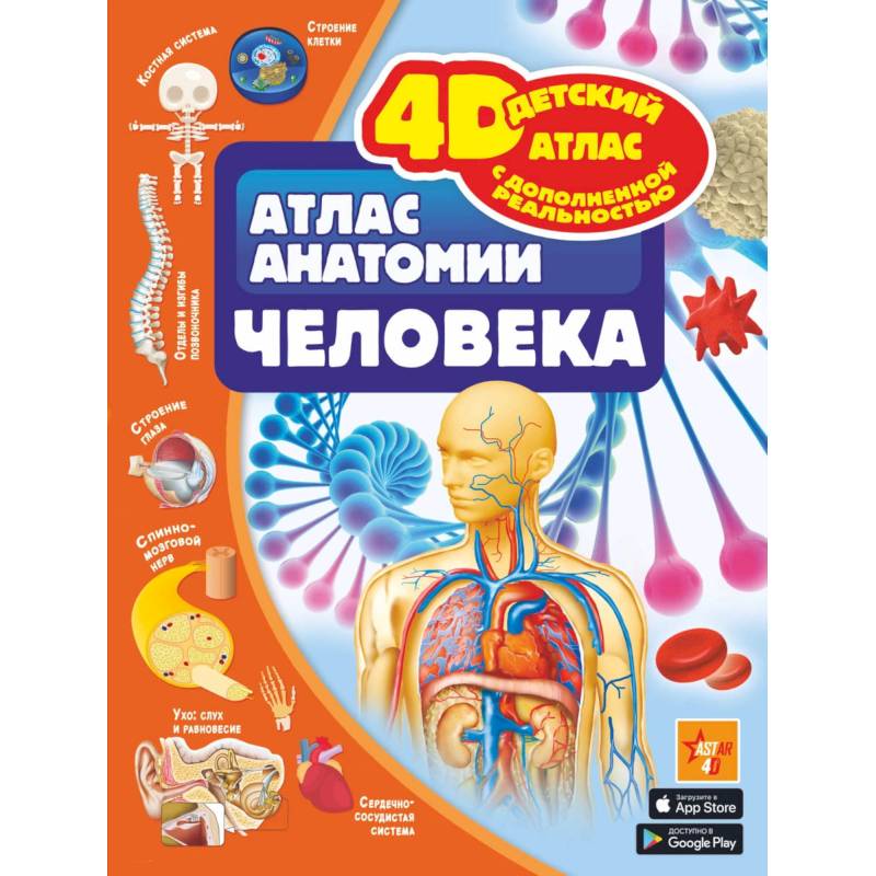 Атлас анатомии человека Атлас анатомии человека
