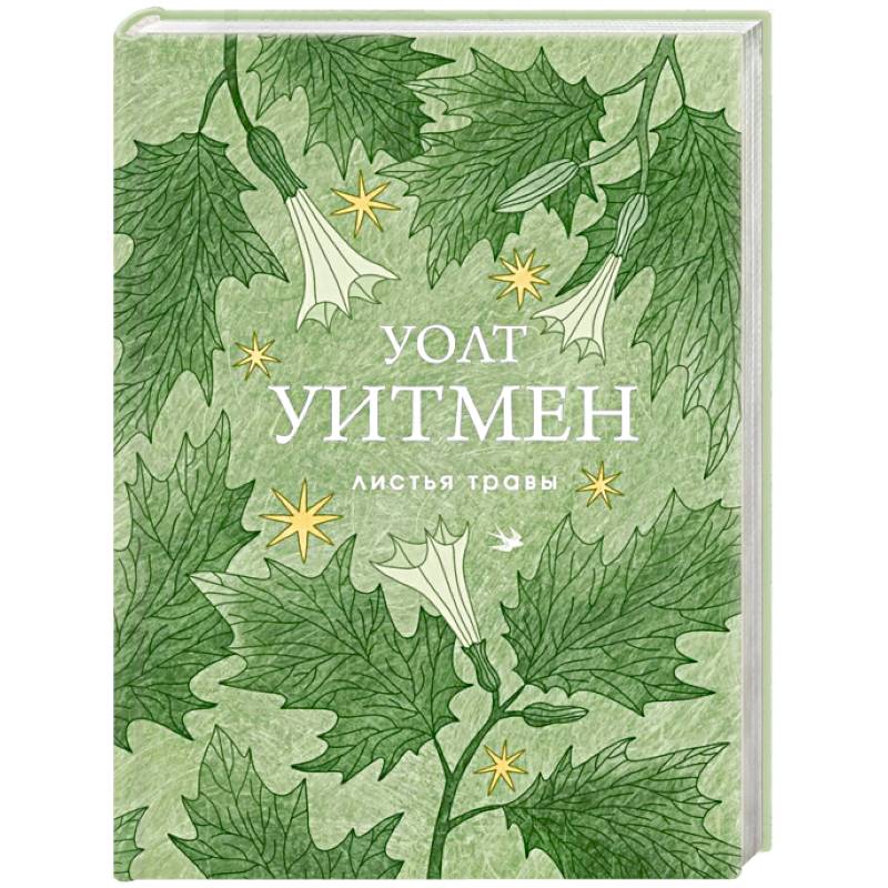 Листья травы