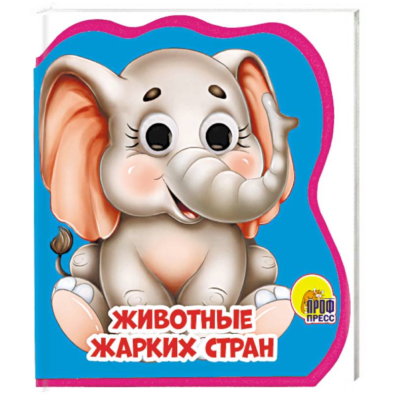 Животные жарких стран Животные жарких стран