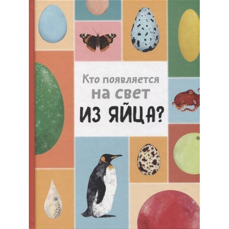 Кто появляется на свет из яйца? Кто появляется на свет из яйца?