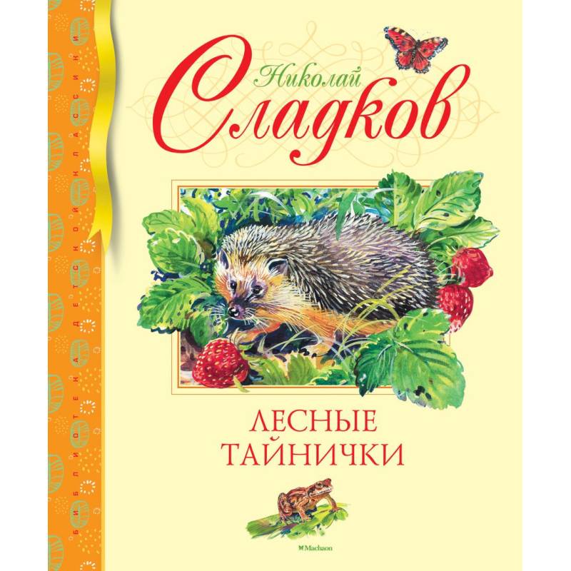 Лесные тайнички Лесные тайнички