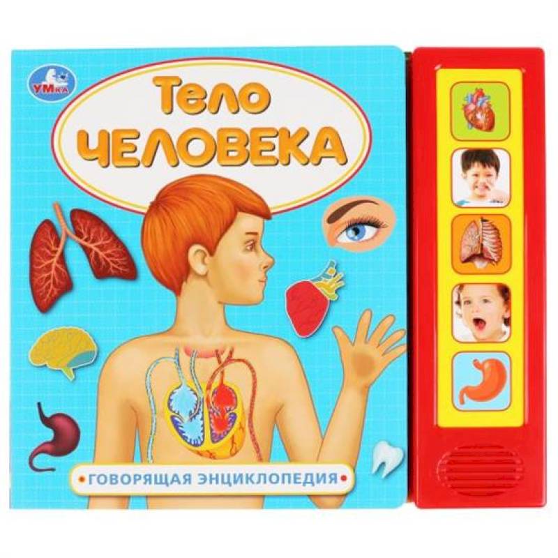 Музыкальная энциклопедия 'Тело человека.' Музыкальная энциклопедия 'Тело человека.'