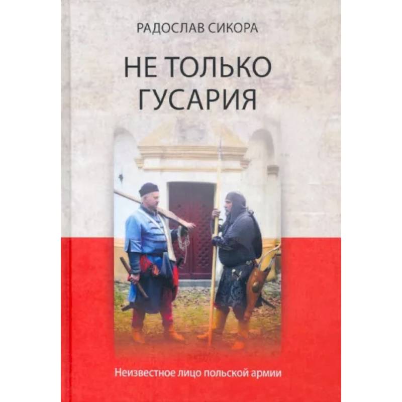 Не только гусария. Неизвестное лицо польской армии
