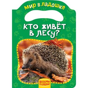 Кто живёт в лесу?
