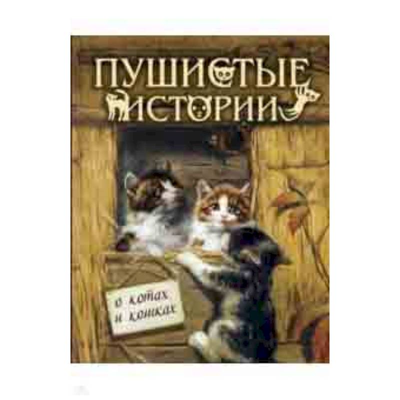 Пушистые истории о котах и кошках Пушистые истории о котах и кошках