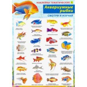 Аквариумные рыбки. Наклейки тематические Аквариумные рыбки. Наклейки тематические