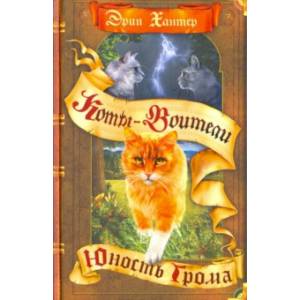 Юность Грома Юность Грома