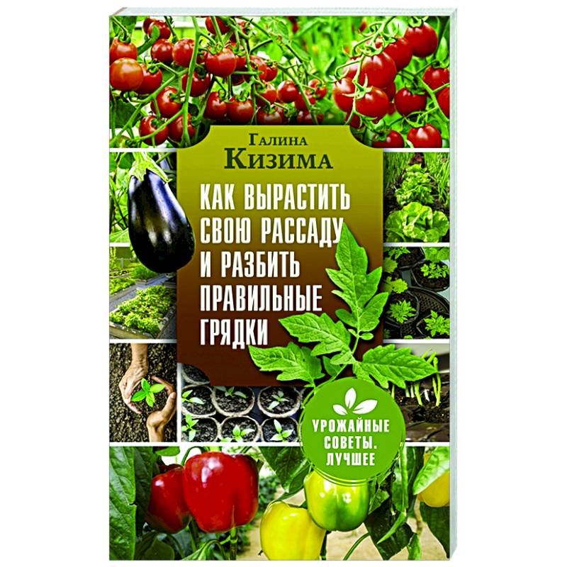 Как вырастить свою рассаду и разбить правильные грядки