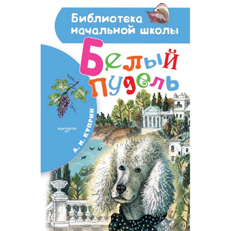 Белый пудель Белый пудель