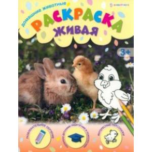Раскраска живая Домашние животные Раскраска живая Домашние животные
