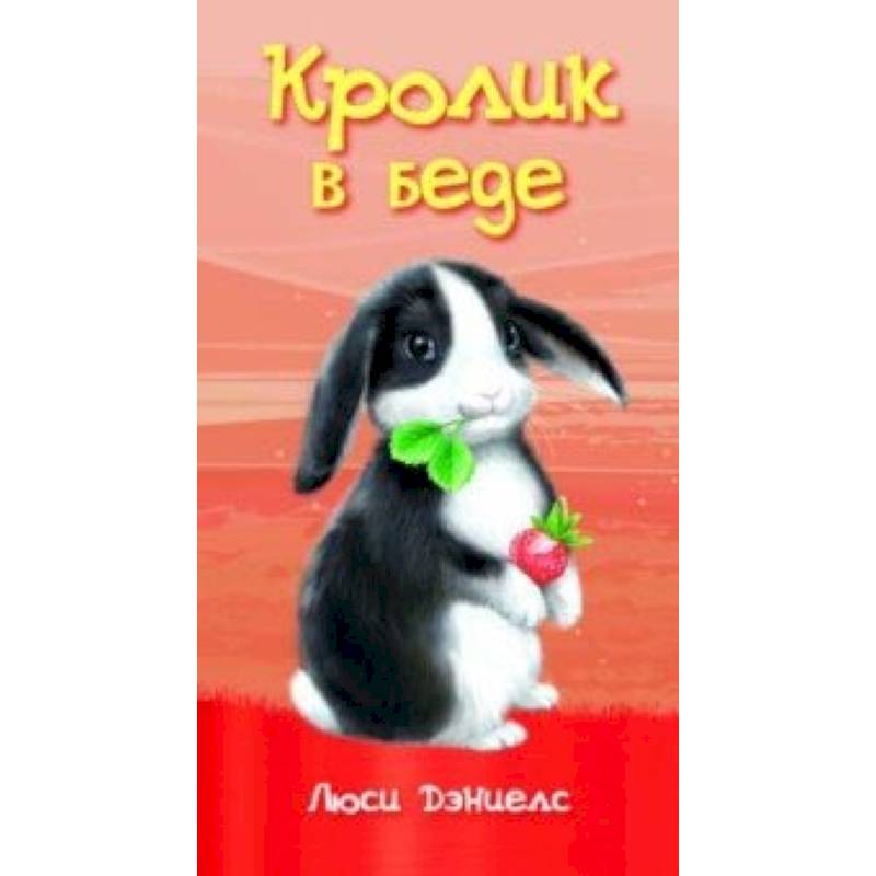 Кролик в беде Кролик в беде