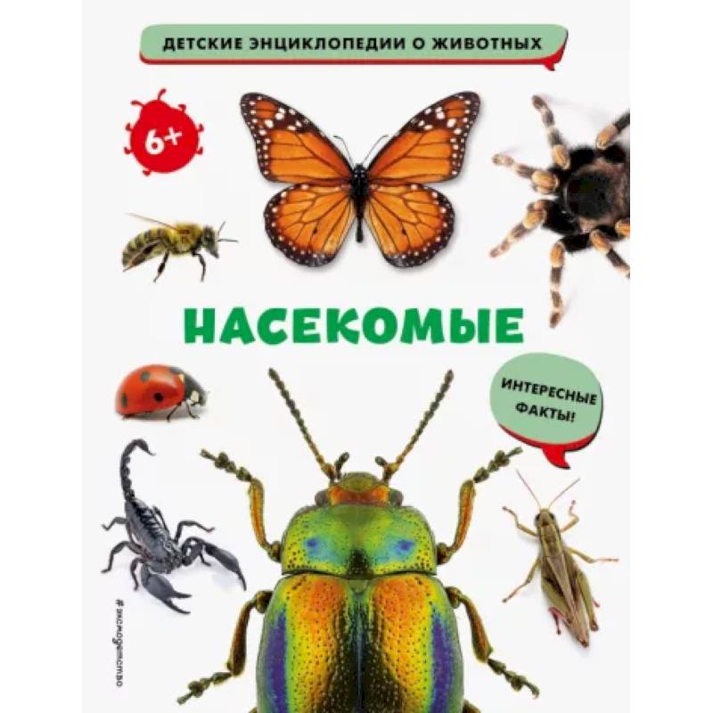 Насекомые Насекомые