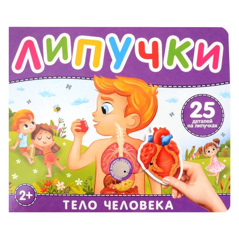 Тело человека. Книга с липучками Тело человека. Книга с липучками